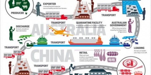 Live Export protocol to China