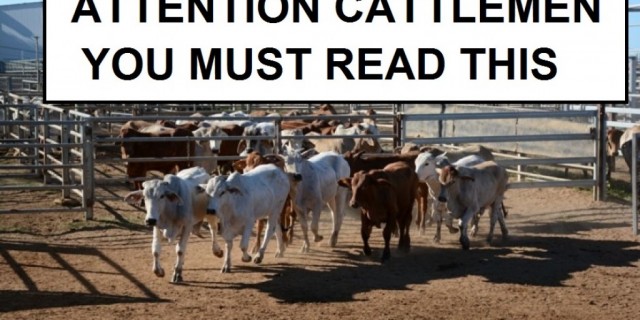 WHAT CATTLE PRODUCERS NEED TO KNOW 