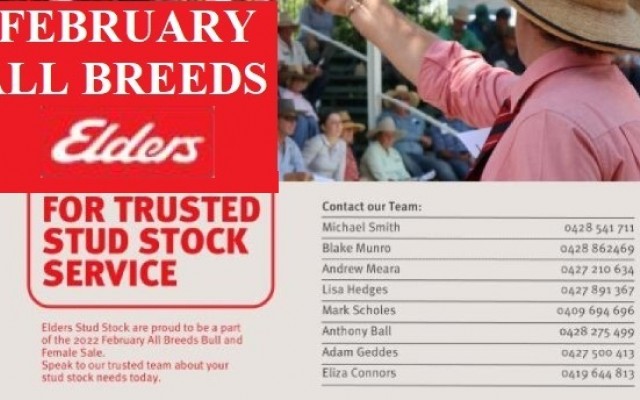 Elders Vendors February All Breeds 2022