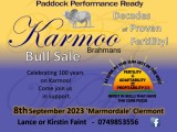 Karmoo Bull Sale 2023