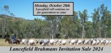 Lancefield Brahmans Invitation Sale 2024