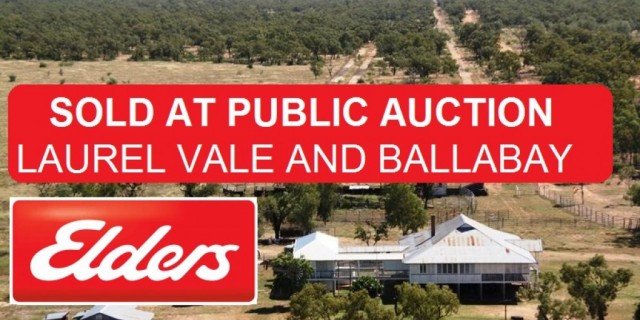 Laurel Vale and “BALLABAY” SOLD AT PUBLIC AUCTION