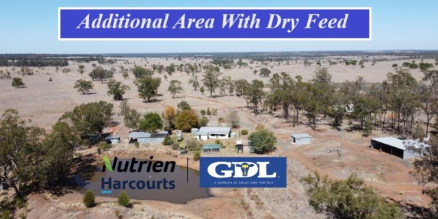 Additional Area With Dry Feed