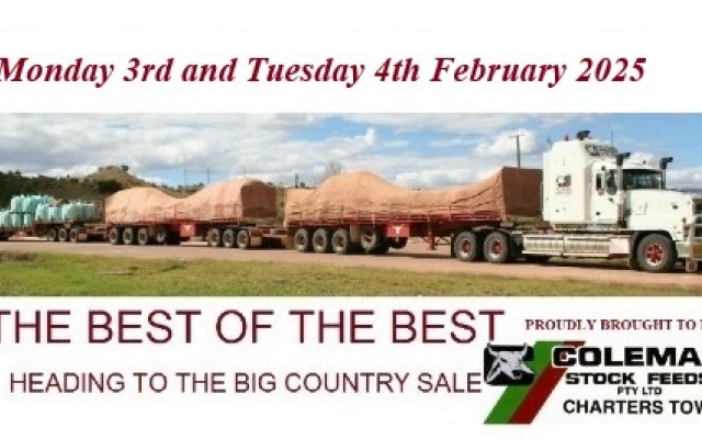 Big Country Sale 2025