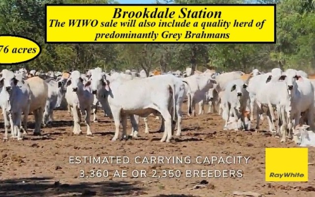 Brookdale Station