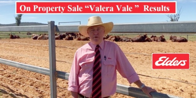 On Property Sale “Valera Vale ” Droughtmasters