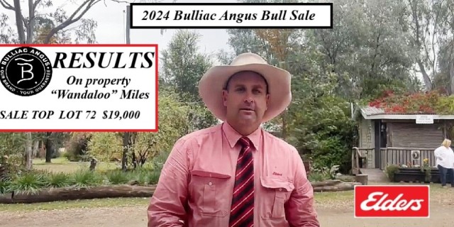  2024 Bulliac Angus Sale 