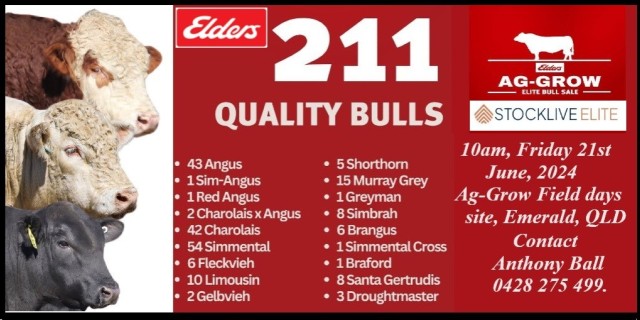 Elders Ag-Grow Elite Bull Sale