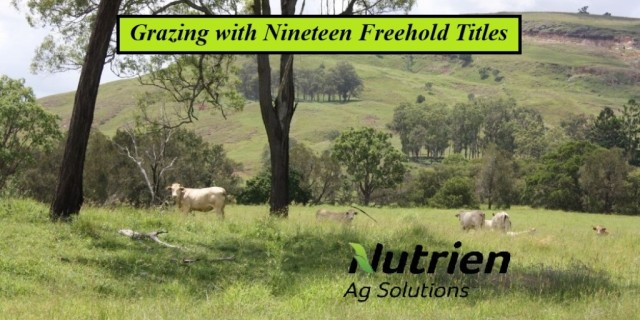 Grazing with Nineteen Freehold Titles.