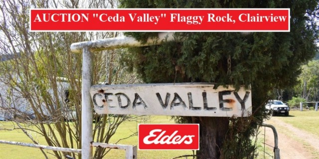 "Ceda Valley" Flaggy Rock.