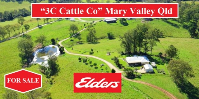 “3C Cattle Co” Mary Valley Qld