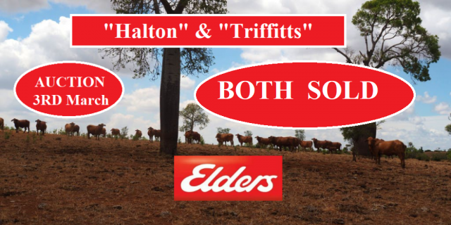 "Halton" & "Triffitts"