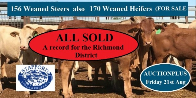 156 Weaned Steers 170 Weaned Heifers ( ALL SOLD )