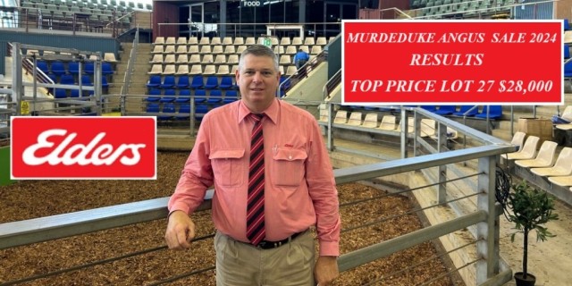  2024 Murdeduke Angus Bull Sale 