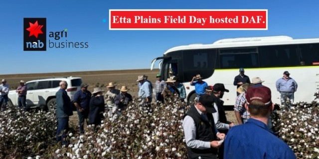 Etta Plains Field Day