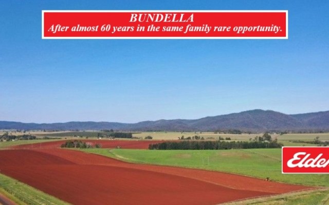 BUNDELLA