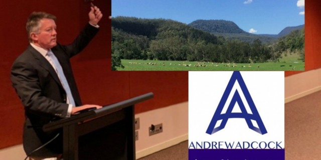Andrew Adcock,   Property Agent and Auctioneer