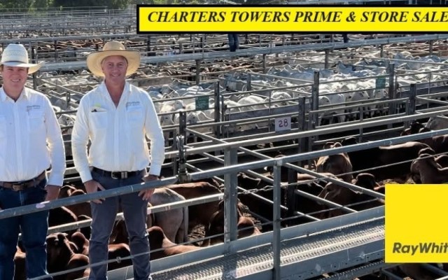 Charters Towers Report