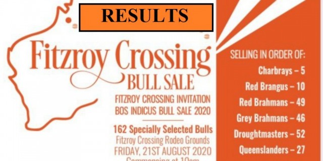 2020 Fitzroy Crossing Bull Sale results 