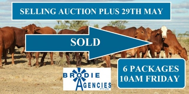  Brodie Selling Friday Auction Plus
