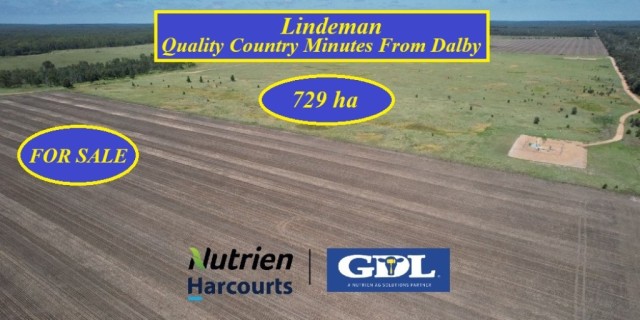 Lindeman