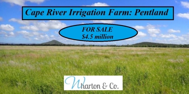 Cape River Irrigation Farm  