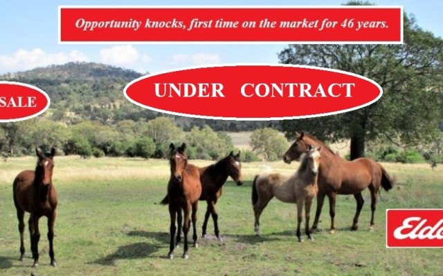 400 Acres Cattle Grazing Block.