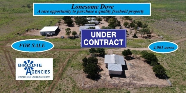 Lonesome Dove