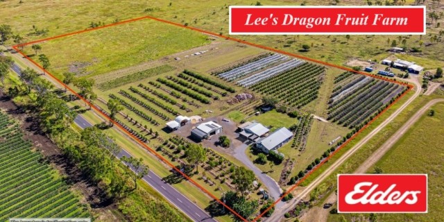 Lee's Dragon Fruit Farm.