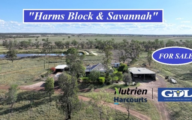 Harms Block and Savannah