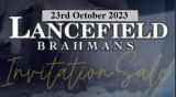 Lancefield Brahmans Invitation Sale 2023
