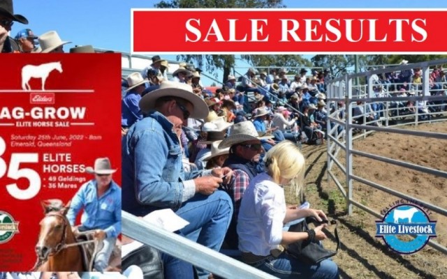 AG-GROW ELITE HORSE SALE RESULTS