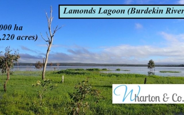 Lamonds Lagoon (Burdekin River)