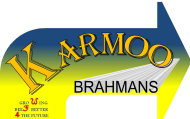 Karmoo Brahmans 