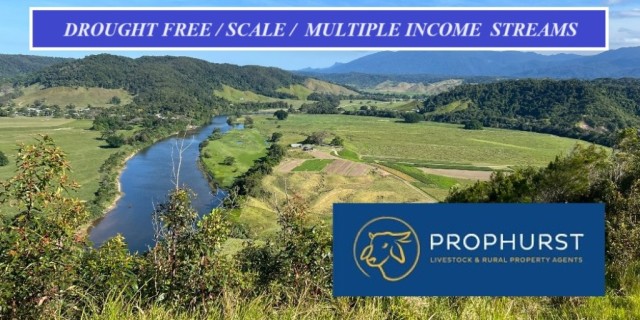 DROUGHT FREE / SCALE /  MULTIPLE INCOME  STREAMS