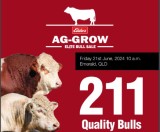 Elders Ag-Grow Elite Bull Sale 2024