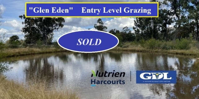 GLEN EDEN   Entry Level Grazing
