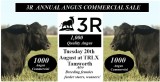 3R ANNUAL ANGUS COMMERCIAL SALE