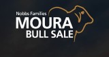 MOURA BULL SALE 2025