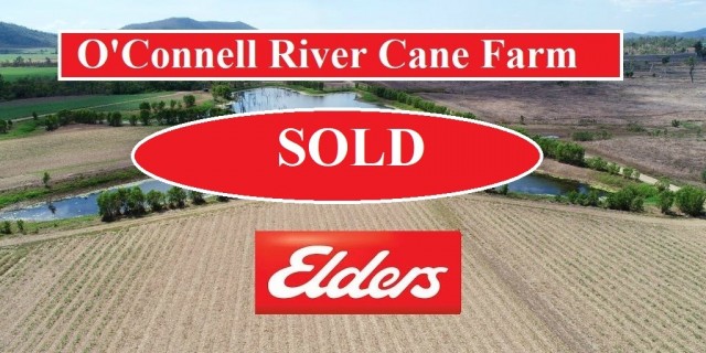 O'Connell River Cane Farm (For Sale )