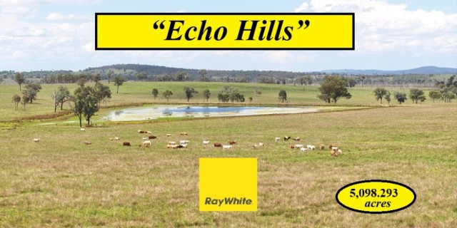 Echo Hills