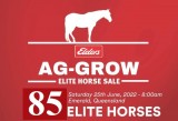AG-GROW ELITE HORSE SALE 2022