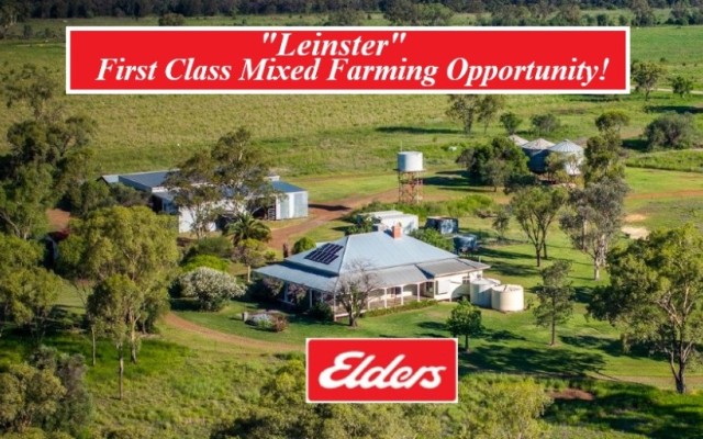  Leinster First Class Mixed Farming Opportunity!