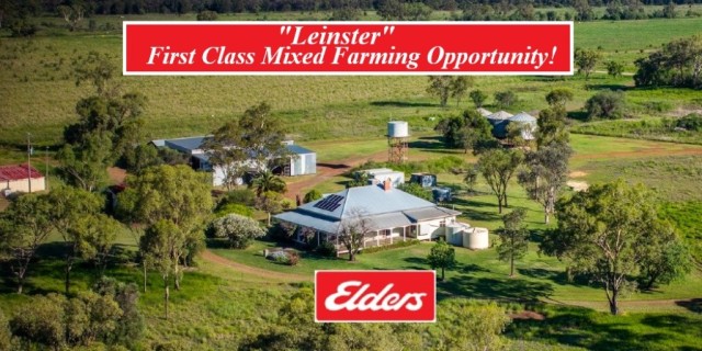  Leinster First Class Mixed Farming Opportunity!