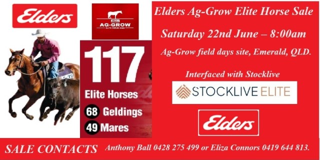 Elders Ag-Grow Elite Horse Sale