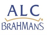 ALC BRAHMANS SALE (2023)