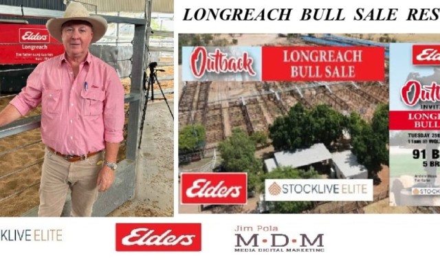 LONGREACH BULL SALE 2025