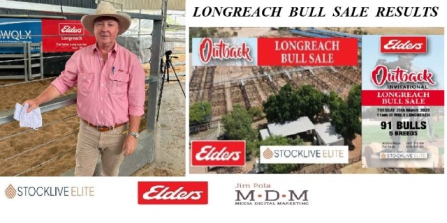 LONGREACH BULL SALE 2025