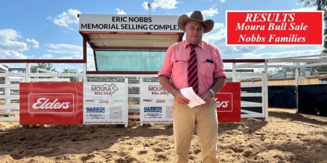 Moura Bull Sale Nobbs Families 2024 