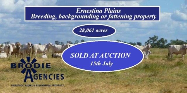 Ernestina Plains